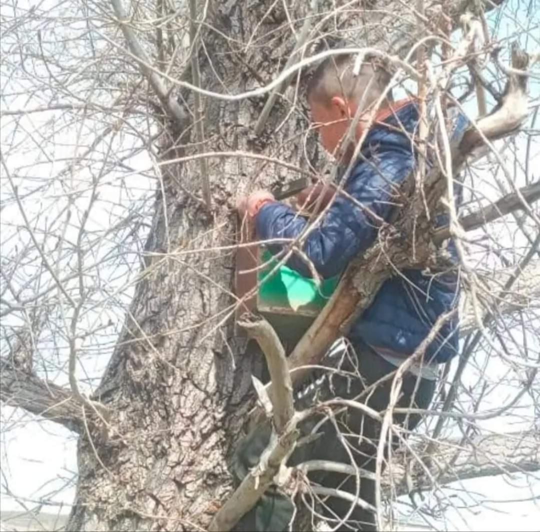 Құстар біздің досымыз!